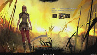 Guild Wars 2 screen 02